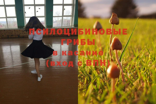 спайс Майский