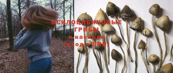 гидра Магадан