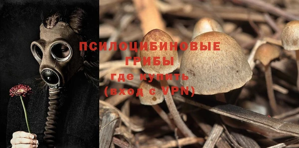 гидра Магадан