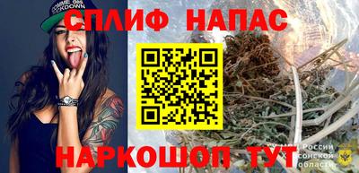 индика Азнакаево