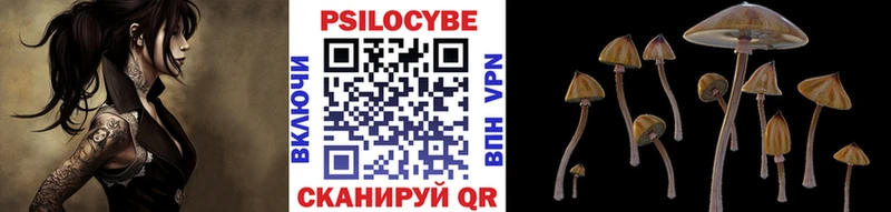 закладка  Раменское  Галлюциногенные грибы Magic Shrooms 
