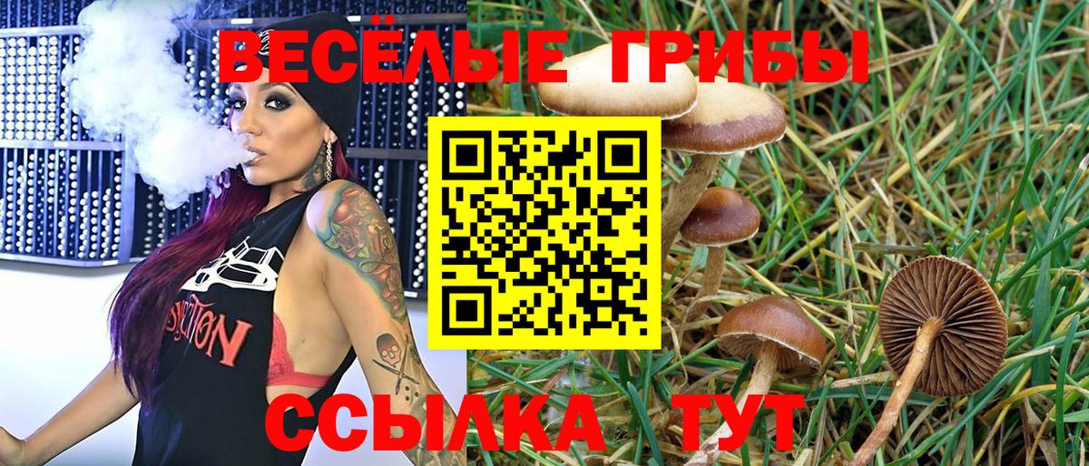 Псилоцибиновые грибы Psilocybine cubensis  Вход с VPN  Галлюциногенные грибы MAGIC MUSHROOMS  Раменское 